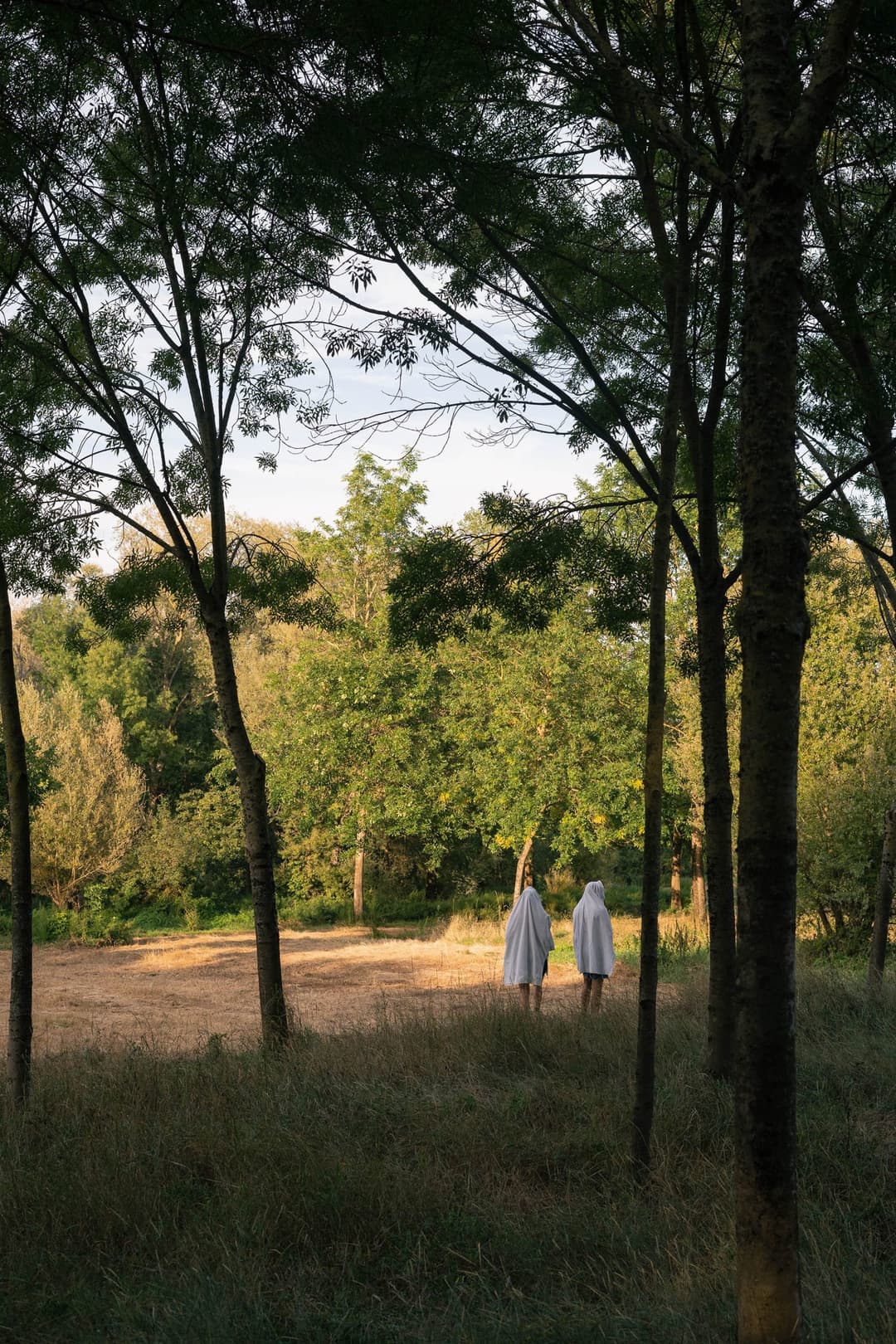 Image de L'ÉCOLE DES MAÎTRES 2023 - MARCIAL DI FONZO BO